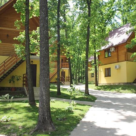 Вілія Hotell Lomacineţi Eksteriør bilde