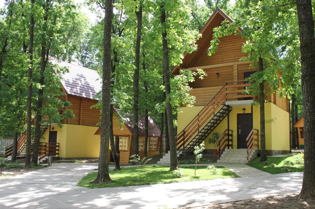 Вілія Hotell Lomacineţi Eksteriør bilde